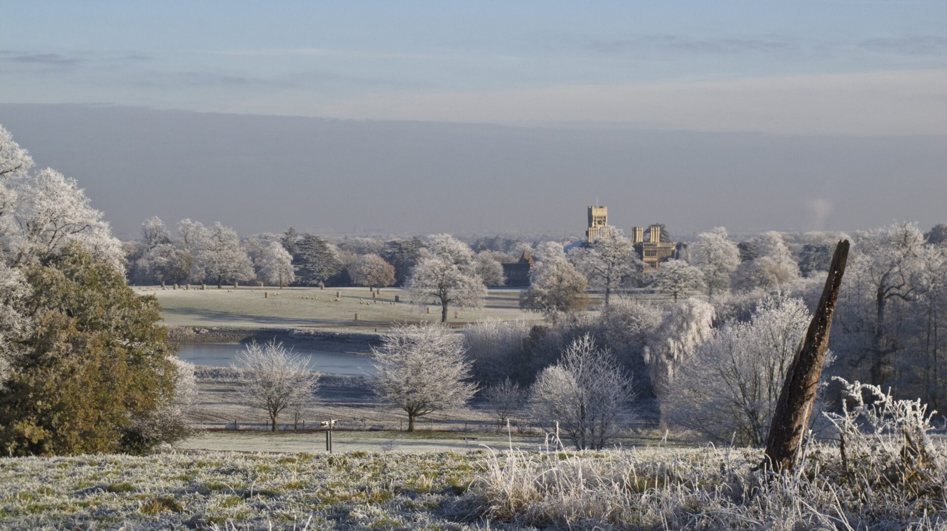 Picture of Bedfordshire Landscape in winter