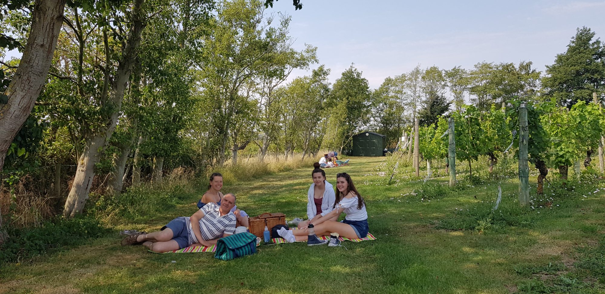 People enjoying a picnic at Warden Abbey Vineyard