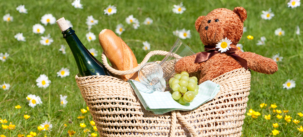 Teddy Bears picnic