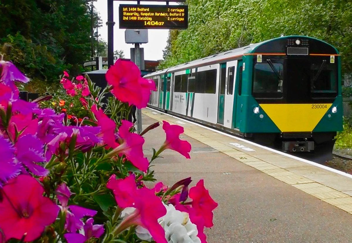 Train photo with flowers