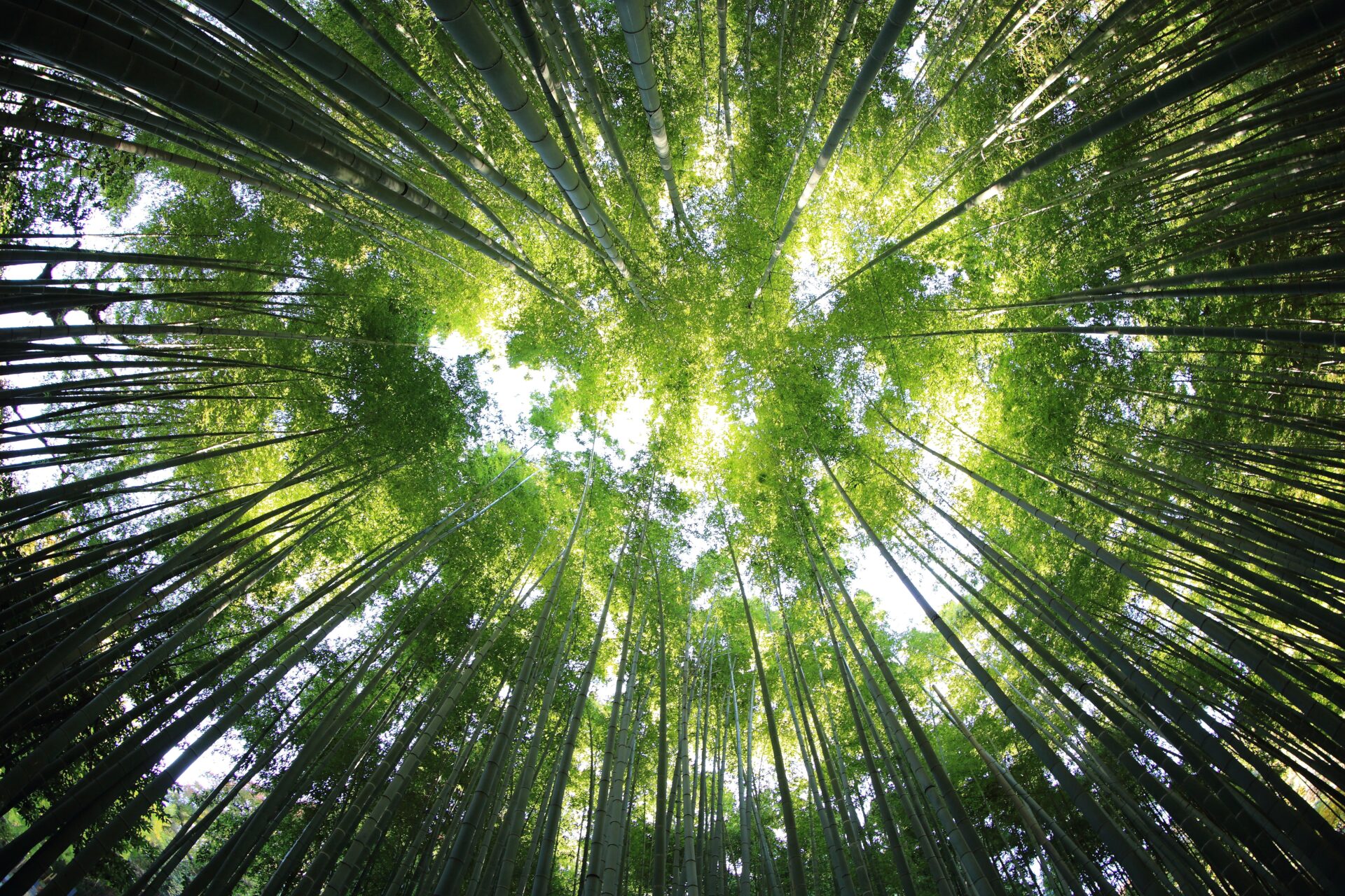 Kazuend 19SC2oaVZW0 unsplash