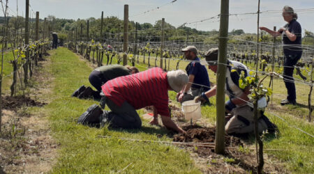 BRCC website featured image (25)