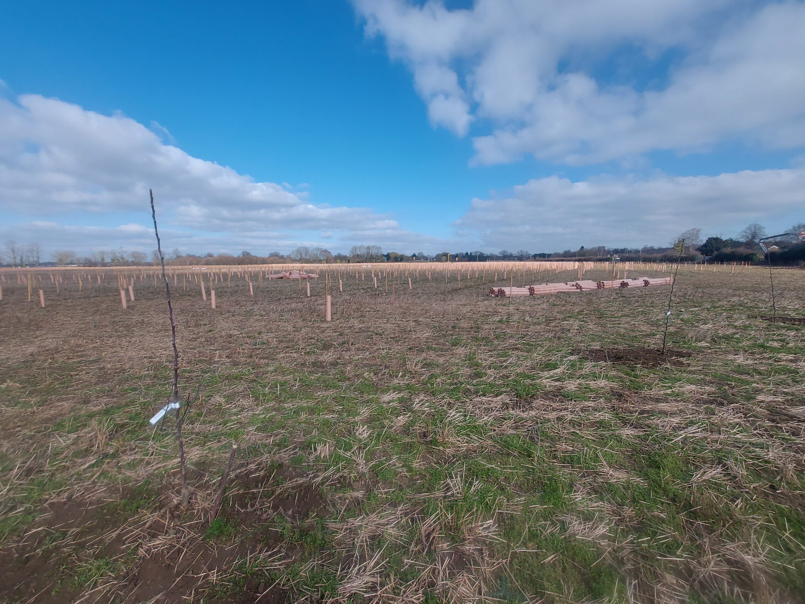Beds RCC Join with Local Volunteers for Bedfordshire Orchard Planting ...