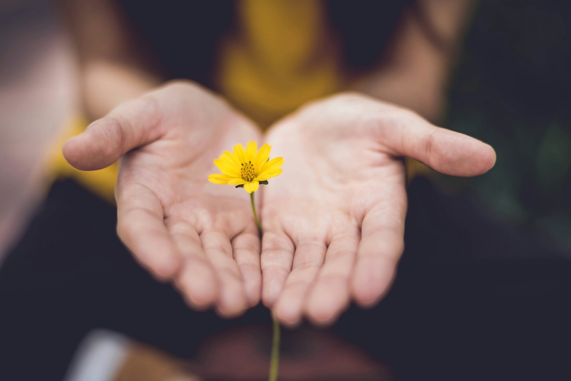 Lina Trochez Ktpkyus3qjs Unsplash 1