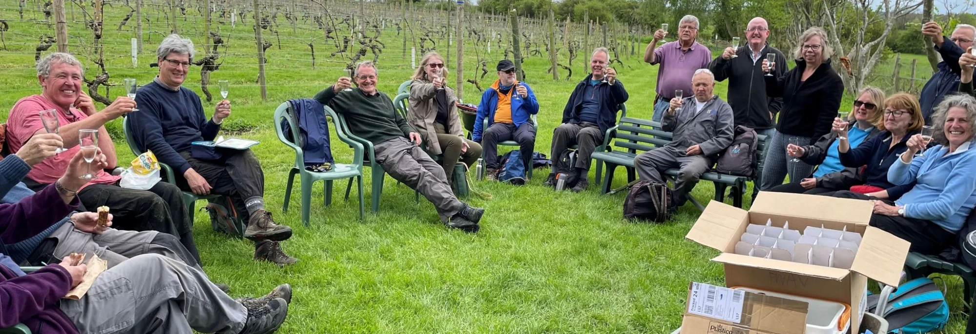 Vineyard Group