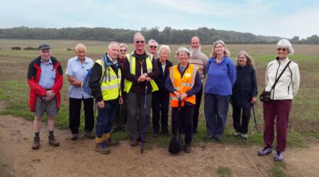 Wellbeing walks